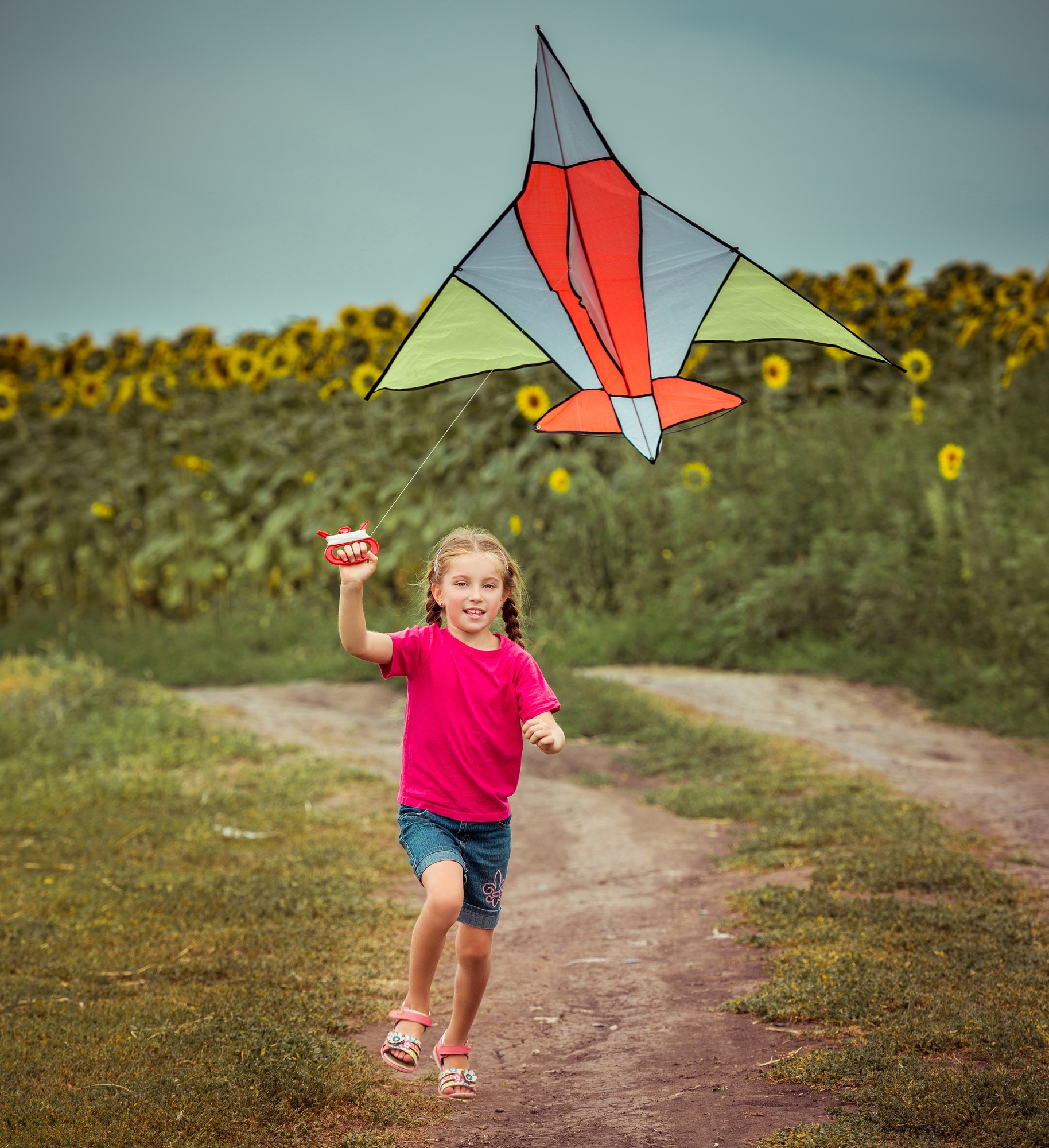 beautiful little girl witha kite